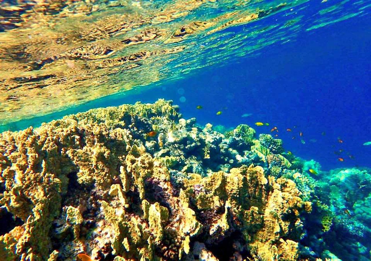 Sharm El Naga Resort And Diving Center Hurghada Bagian luar foto