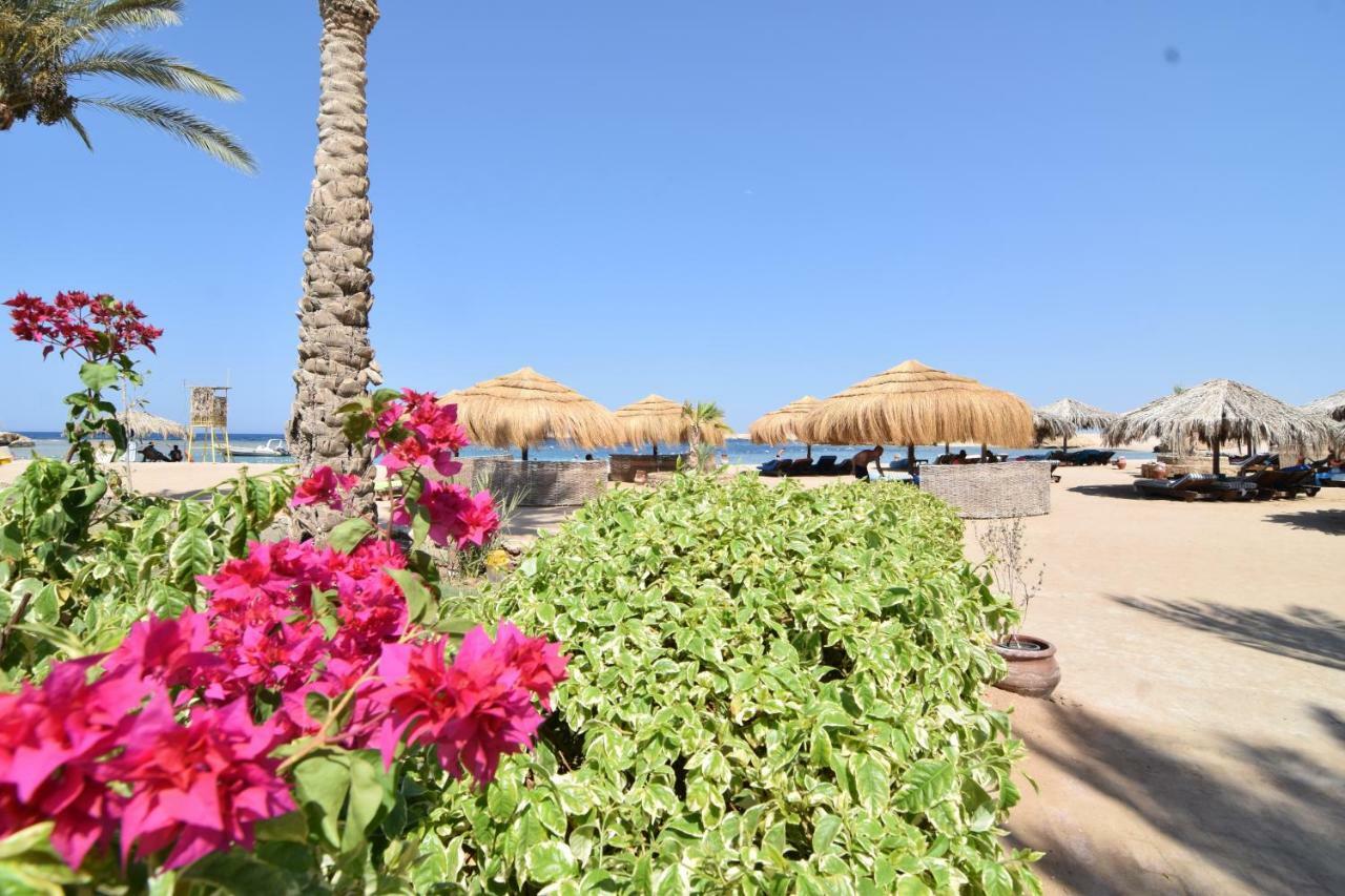 Sharm El Naga Resort And Diving Center Hurghada Bagian luar foto